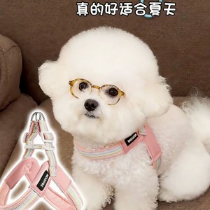 Nueva correa para perros estilo veraniego, ligera y transpirable, adecuada para perros pequeños y medianos, a prueba de explosiones y lista para usar. - Product Image 3