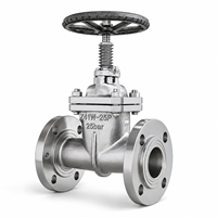 Vanne à opercule manuelle à bride LUOKEFM Z41W-25P CF8 PN16 pour pipelines pétroliers et gaziers, siège métallique -20~425, contrôle de débit industriel
