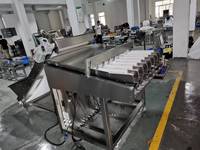 Blauwe-bessen intelligente robot weeg-, verpakkings- en sorteermachine