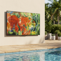 Televisor Inteligente para Exteriores de 75 Pulgadas, 4K, Resistente al Agua IP65, Alto Brillo, Antideslumbrante, LED, WiFi, para Hotel, Piscina, Patio, Jardín
