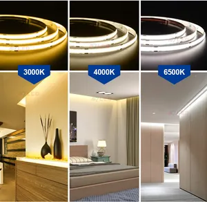 Fita De Led Dotless 5 Meter Cob LED Luces 504Leds/M Ip20 Weißlicht 12V Flexible Cob Led Strip Lights für Raum kanal