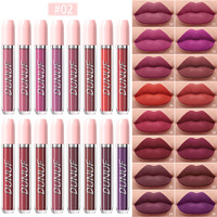 DUNUF Coffrets de Rouge à Lèvres Liquide Mat 16 Couleurs Brillant à Lèvres Imperméable Longue Durée Rouge Sexy Blanc Noir Nude Maquillage