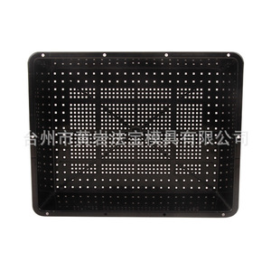 Nursery <b>Trays</b> Rectangle <b>Plastic</b> Mold Injection With Drainage Hole For Seedling Growing - Product Image 3