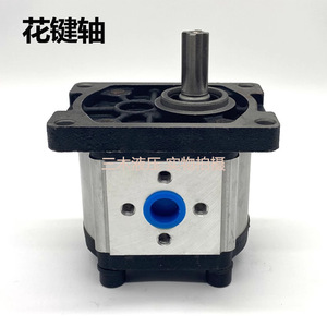 Pompe à engrenages hydraulique 25Mpa à arbre à clavette plate 1 étage CBN G304 G310 G314 G316 - Product Image 2