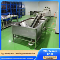 Machine de lavage, de tri, de séchage à l'air, de polissage, d'inspection et de codage des œufs de canard salés en acier inoxydable avec garantie de 4 ans