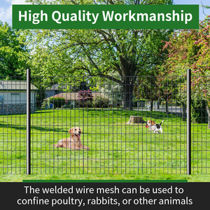 Black PVC Coated 16 Gauge Welded <b>Wire</b> <b>Mesh</b> Fence 2x3 Inch Grid 36 Inch X 50 Ft Roll for Garden Animal Barrier USSANXING Brand - Product Image 6