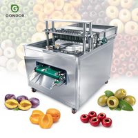 Commerciële roestvrijstalen lychee-, kersen- en olijfpitter, ontpitmachine voor pruimen, te koop