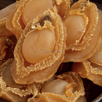 Fruits de mer séchés au soleil d'origine du Fujian, riches en protéines et faciles à absorber, viande d'ormeau doré sans coquille, Haliotis, vente en gros, qualité d'exportation