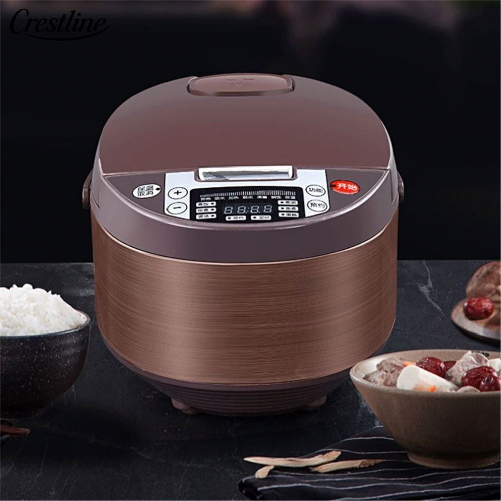 OEM Wholesale 5L 900W Portable Smart Digital Electric Rice Cooker with Time Preset Function Hot Selling