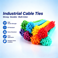 Bridas de Identificación Fáciles de Usar, Bridas de Nailon Duraderas para la Clasificación de Cables de Red