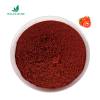 Lycopène de tomate Wellnature 10% Solanum Lycopersicum (tomate) Extrait de fruit Poudre de lycopène