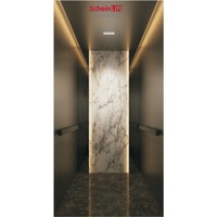Ascenseur de luxe en acier inoxydable avec traction sans engrenages pour hôtels, installation facile et assistance technique en ligne