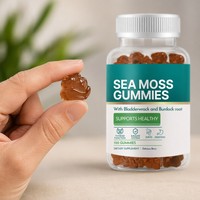 Gummies de mousse de mer irlandaise à marque privée avec fucus et racine de bardane pour le soutien de la thyroïde et du système immunitaire – Vente en gros