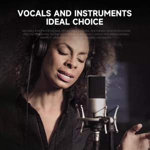 GAM-ZX80 Grande Diafragma Condensador Microfone Gravação Qualidade Vocais e Instrumentos Usando Cardioid Metal Shell Entrevista Mic - Product Image 6