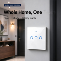 Saklar Dinding Pintar Standar EU Langsung dari Pabrik, 3 Gang Tuya WiFi Touch Switch 10A untuk Penggunaan Apartemen EU
