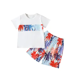 HIPPO KIDS Boy t shirts Summer Boy Set Beach Wear 2024 Boys Clothing Sets
