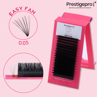 Extensions de cils professionnelles Mega Volume à éventail souple individuel 0.05 pour un effet naturel, prix de gros