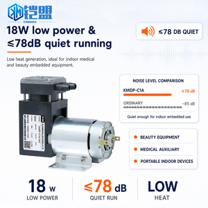 KAI MENG Vacuum <strong>Pump</strong> Dc 12VLow Noise 15L/Min Flow Small Electric Air <strong>Pump</strong> Portable Detector Micro Piston <strong>Pumps</strong> - Product Image 2