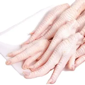 United States 890 ton Wholesale Factory Price FROZEN CHICKEN FEET in Bulk Quantity Ready For Export