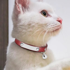 Collar personalizado de cuero ajustable para mascotas, Collar personalizado para cachorros, gatitos, nombre, accesorios antipérdida - Product Image 4