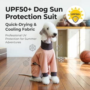 Combinaison pour chiot à séchage rapide, respirante, antibactérienne, à quatre pattes, UPF50+, vêtements pour chien, protection solaire estivale pour animaux de compagnie - Product Image 2