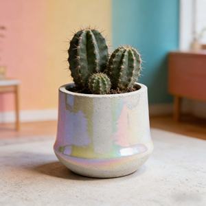 Maceta de Cerámica Esmaltada para Suculentas, Estilo Nórdico Minimalista y Creativo, Ecológica, Duradera, para Uso en Interiores, con Acabado Iridiscente - Product Image 6