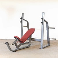 Rack de musculation en acier ASM-E1029, équipement de fitness de qualité supérieure pour les exercices de musculation inclinée.