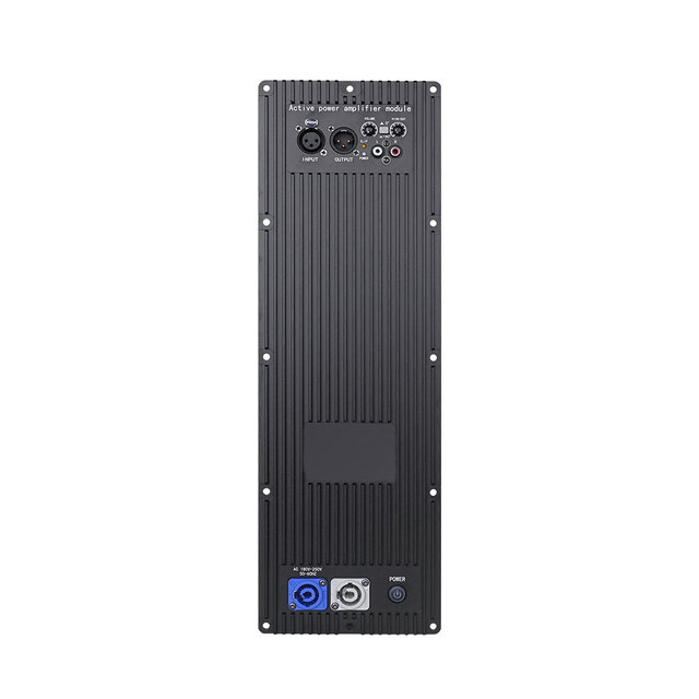 2500DT  High Power Dj Audio Bass Amplifier 1channel Class d Amplifier Module Power Supply Professional for Speakers