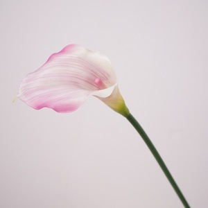 Offerta Speciale: Mini Calla Lily <span class=keywords><strong>Viola</strong></span> <span class=keywords><strong>Scuro</strong></span>, Fiori Artificiali in Lattice Real Touch per Bouquet da Damigella e Composizioni Floreali - Product Image 4
