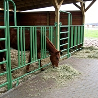 Panneau de clôture en fil de fer soudé galvanisé pour bétail, chevaux et moutons