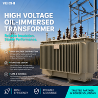 ZHONGAO POWER 10KV 11KV 50 KVA 100 KVA 200 KVA MV HV Yağlı Tip Dağıtım Trafosu Akıllı Enerji Dağıtımı için
