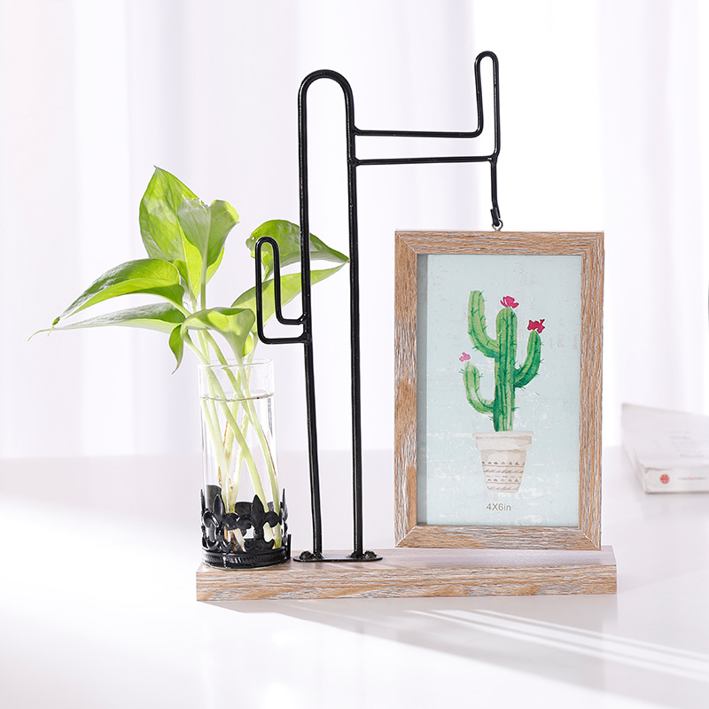 Coloré - Version hydroponique - Cactus A
