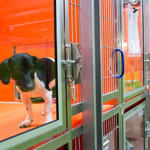 Cabine durable à 2 couches <span class=keywords><strong>pour</strong></span> <span class=keywords><strong>chien</strong></span> Stack <span class=keywords><strong>pour</strong></span> Doggie Daycare - Product Image 1