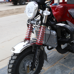 Three-Wheeled <b>Gasoline</b> Motorcycle Power-Fuelled Motorized Vehicle with Opened Body Type - Product Image 3