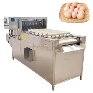Mesin pemecah telur ayam, mesin Perapi cangkang telur segar