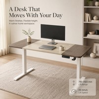 Table télescopique électrique silencieuse AOR Home avec plateau en bois et structure métallique pour bureau, ordinateur, apprentissage, personnalisable, toutes couleurs, directement de l'usine
