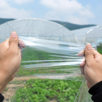 Film plastique pour serre de 200 microns, taille personnalisable, directement de l'usine, stabilisé aux UV, anti-goutte, couverture PE, filet anti-insectes/ombrage pour