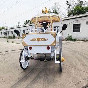 Nouvelle Carrosse de Mariage Électrique en Fer Forgé <span class=keywords><strong>Creux</strong></span> Style Princesse Royale Européenne, Forme Citrouille - Product Image 3