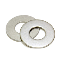 M6 M8 M10 SS304 SS316 Stainless Steel DIN125 DIN9021 Plain Flat Washers