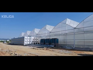 Invernadero de cresta y <span class=keywords><strong>surcos</strong></span> con techo de ventilación para un control óptimo del clima - Product Image 4