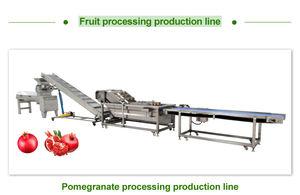 Grande extracteur de jus en spirale pour fruits et légumes en acier inoxydable 304 Presse-agrumes concasseur industriel pour pommes et ananas - Product Image 6