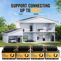 Batterie au phosphate de fer et de lithium 12V 24V 48V 100Ah 200Ah 300Ah à décharge profonde pour stockage d'énergie, pack de batteries LiFePO4 avec BMS