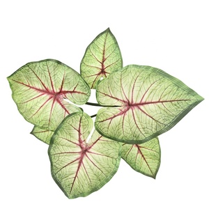 Faux feuillage imprimé en 3D grande plante caladium feuille à feuilles persistantes artificielle pour la décoration de <span class=keywords><strong>bonsaï</strong></span> - Product Image 6