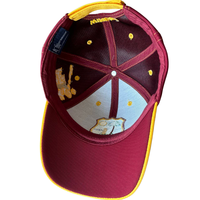 Casquette de cricket marron avec écusson d'équipe brodé, logo personnalisé, style vintage sportif, visière incurvée réglable à double couche, casquette de baseball
