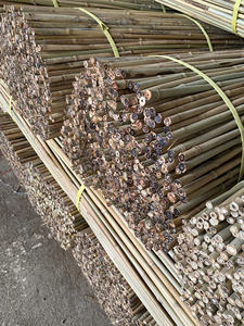 Piquets de bambou séché de petit diamètre – Soutien durable en bambou pour les plantes de jardin potager et agricole - Product Image 2