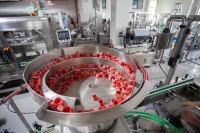Ligne de remplissage rotative haute vitesse pour poudres, machine de remplissage automatique de poudres, équipement de dosage et de remplissage