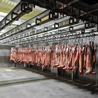 Planta de Sacrificio de Ovejas de Gran Capacidad y Alto Rendimiento, Equipo Halal para Sacrificio de Ovejas, Línea Completa de Producción para Sacrificio de Cabras