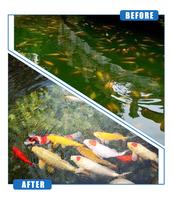Nouvelles arrivées Systèmes de filtre à tambour Chine Koi Filtre à tambour pour système Ras