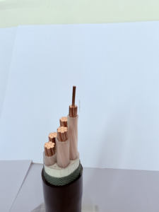 Basse tension 16mm 95mm 120mm 240mm conducteur de fil de câble électrique noyau de cuivre isolation Xlpe gaine en PVC câble (blindé) - Product Image 4