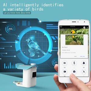 <strong>Newest</strong> Solar-Powered Hummingbird Smart Feeder Station Night Vision Low Power Two-Way Audio CMOS <strong>Network</strong> <strong>Camera</strong> Supporting Memory - Product Image 6